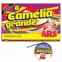 Girasuelos Camelia Grande 6